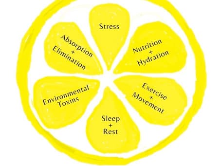 An illustration of a lemon sliced in half is broken into six segments. Each inner segment of the lemon reads respectively, "Stress, Nutrition & Hydration, Exercise & Movement, Sleep & Rest, Environmental Toxins, Absorption & Elimination | 6 Segments for Whole Body Health