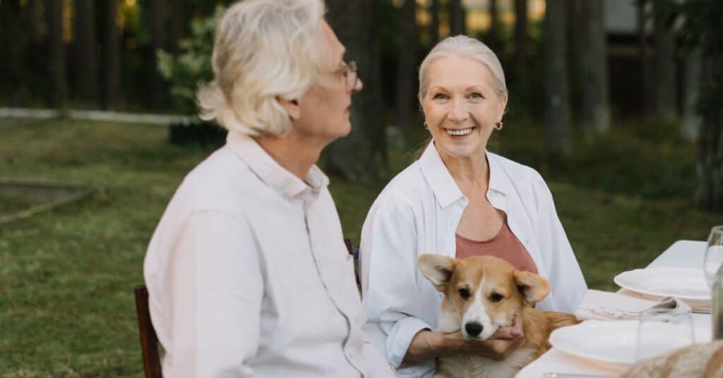 White-haired couple happily eats outside with their dog, confused about nutrition