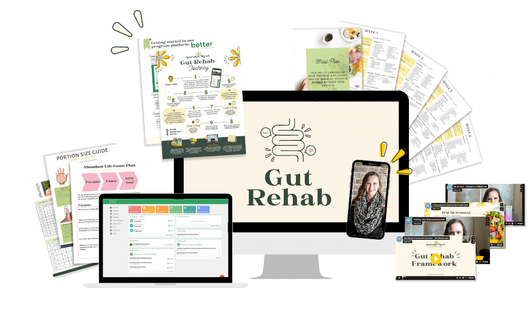 Gut Rehab Program shown on a computer screen and as handouts Mock-Up