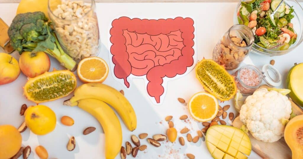 Paper cutout of a gut laid on a table amongst various health foods, like fruits, veggies, and nuts