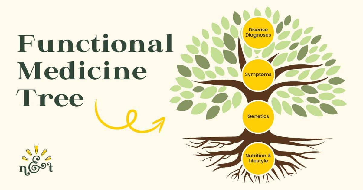 Graphic depicting the functional medicine tree, healing your gut