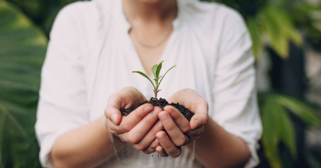 Woman's hands cup a handful of soil with a sprout coming out of it, healing your gut